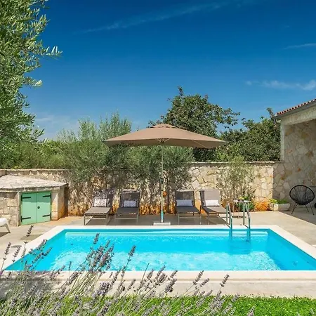 Villa Beautiful Istrian With Private Pool Mrgani